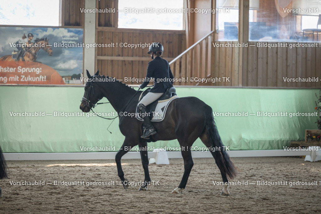 _D5A8511 | Emotionale Pferde- & People-Fotografie rund um Heidelberg, Leimen & Umgebung. Natürliche Fotos von Pferd, Mensch & Familie. Jetzt Termin sichern!