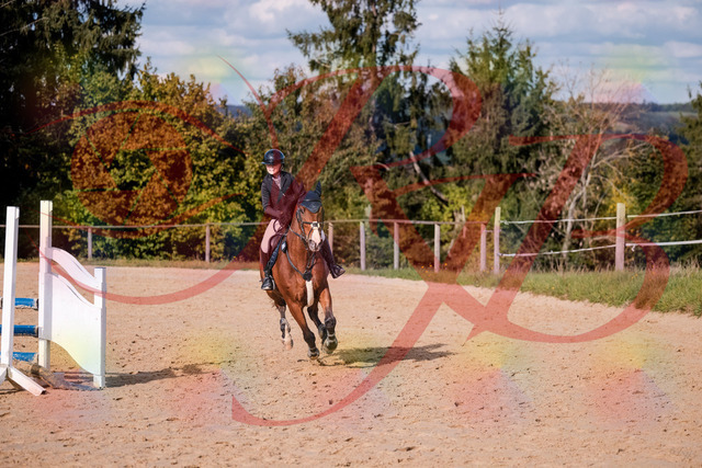 2026_10_03_Siefer-Hof_154714_Z81_66610727 | Professionelle Reitsport-, Turnier- und Eventfotografie von Robert Broda. Galerien mit ausgewählten und bearbeiteten Bildern direkt online ansehen und bestellen.