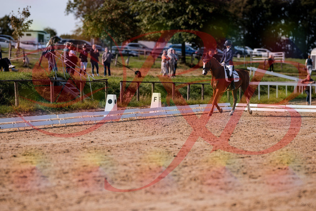 2026_10_03_Siefer-Hof_123403_Z81_31675308 | Professionelle Reitsport-, Turnier- und Eventfotografie von Robert Broda. Galerien mit ausgewählten und bearbeiteten Bildern direkt online ansehen und bestellen.
