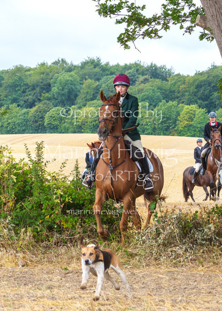 Jagd Knoop 26_MarinaHewigMCH02201 | Fotografie, FotoArt, PferdesportArt, Pferdesportfotografie, Landschaftsfotografie, Reisefotografie, Reise, Pferde - Realisiert mit Pictrs.com