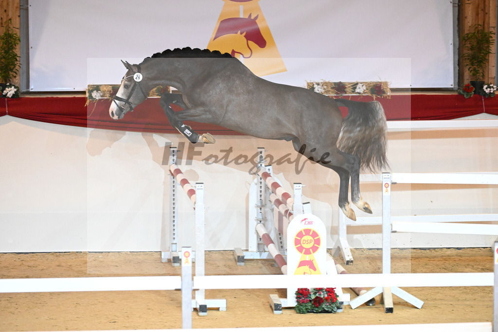 Kat-Nr. 24 Hickstead White_Zeil_1230895 | hf-fotografie - Realizzato con Pictrs.com
