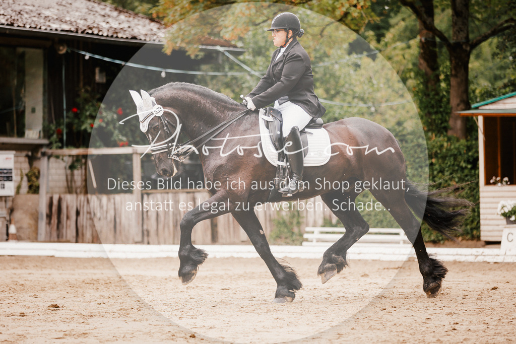 3I6A7758 | Stimmungsvolle Portraits und Reitsportfotografie im Ruhrgebiet und im Münsterland.

Pferdefotografie, Hundefotografie, Tierfotografie, Reportagen, Portraits von Tier und Mensch, Turnierfotografie in Bochum, Recklinghausen, Marl, Haltern am See, Dülmen.. - Realisiert mit Pictrs.com