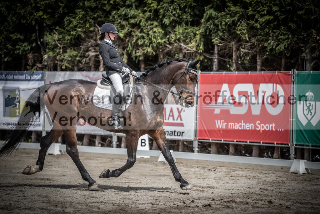 DSC_2282 | equestrian-live-com