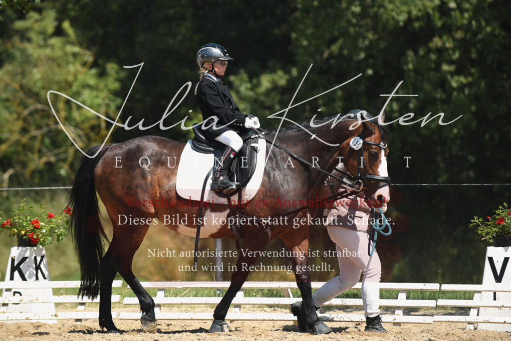 DSC_1677 | Pferde- und Turnierfotografie in Westsachsen. Pferdeportraits, Auftragszeichnungen und intuitive Kunst.