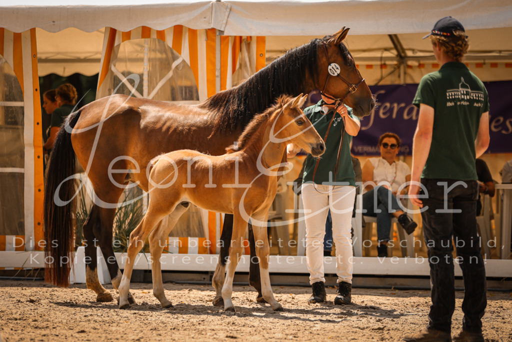 03.DoAB00021 | Leoni Ertmer Photography - Realisiert mit Pictrs.com