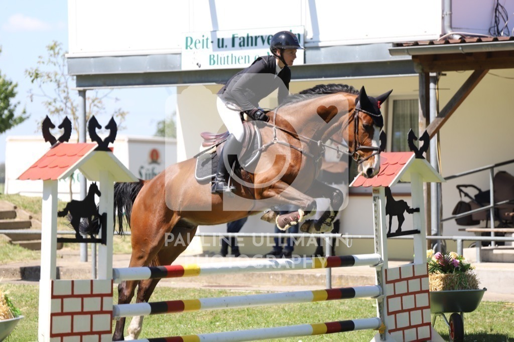 IMG_6265 | Pauline Ullmann Photography - Realisiert mit Pictrs.com