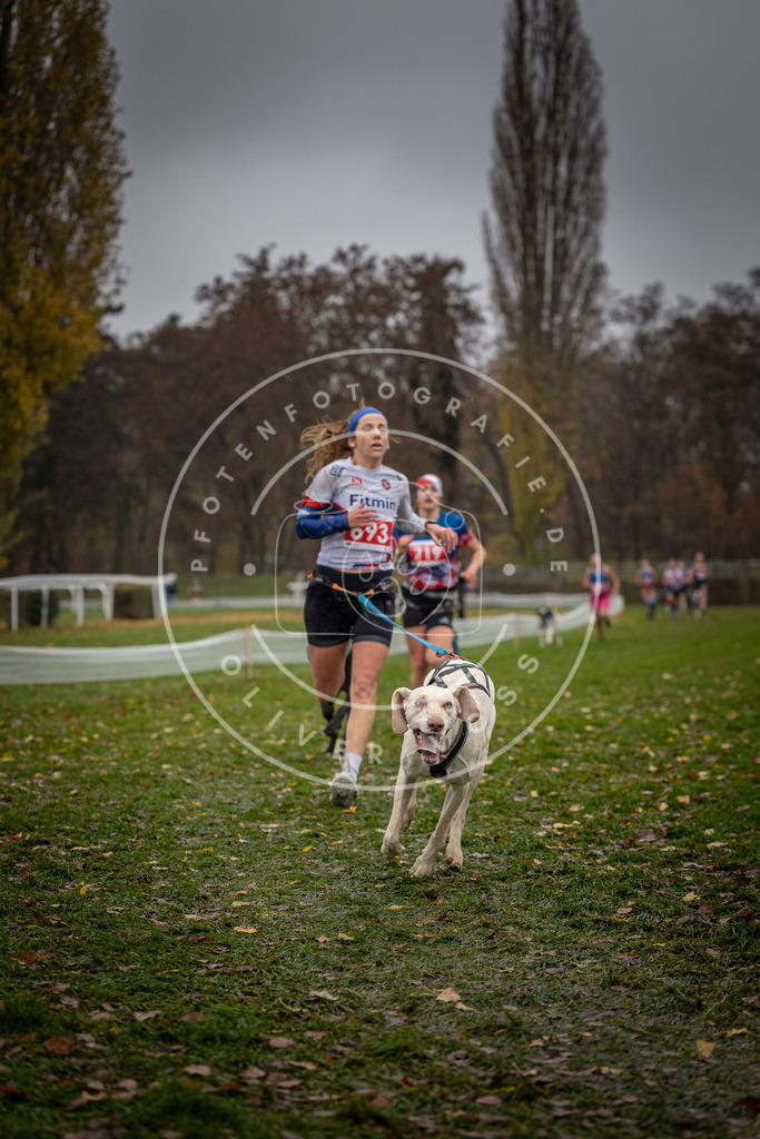 CaniXpix_DV3A9010 | Hundefotografie, Tierfotograf, Pfotenfotografie, Fotoshooting Hund, Hunde Portrait, Hundesport, Hundeportraits, Heideshooting, Hunde, Sportfotograf, Hundefotograf, Turnierhundsport, THS,  - Realisiert mit Pictrs.com