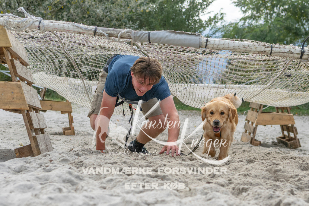 1135_ZZ98174 | kk-dogfotos
