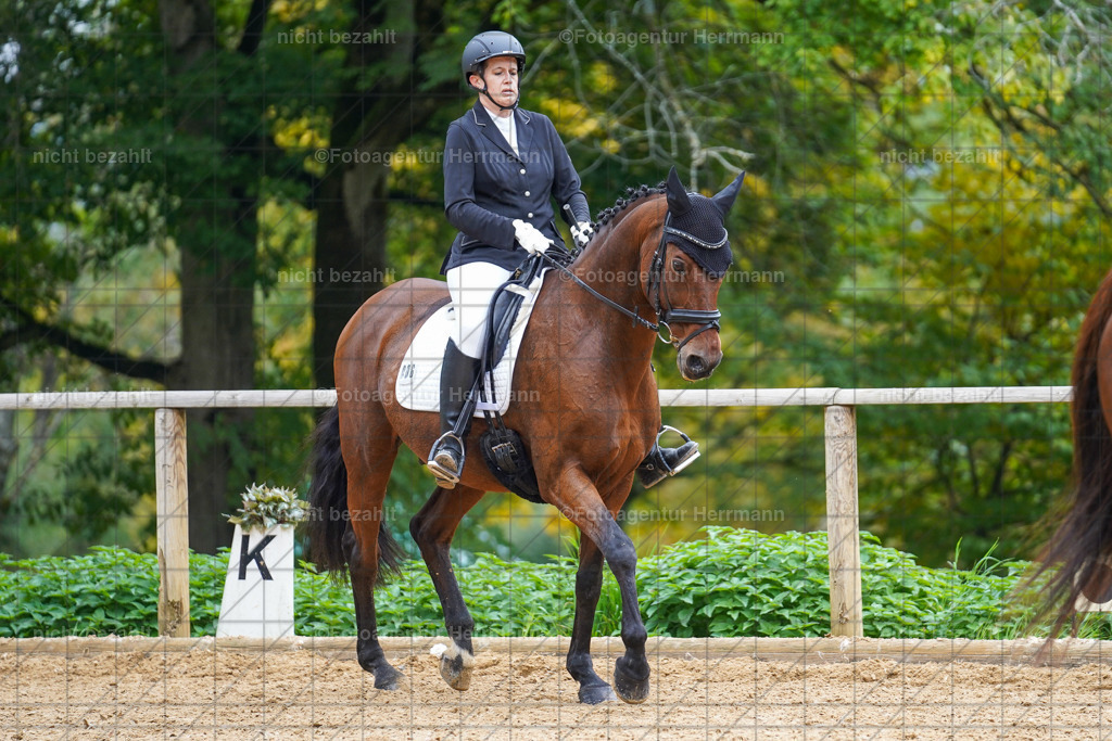 20221008-FAH01557 | Diessen am Ammersee, 2022, Dressur- und Springturnier, Reitsportbilder, Turnierfotografen Bayern, Pferdefotografen, Fotoagentur Herrmann, Turnierbilder
