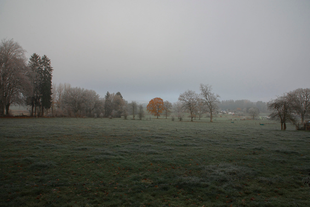 Raureif_Weisten_101222_01 | Bildergalerie von Sport-Ereignissen aber auch von weiteren spannenden Dingen - nicht nur vom Niederrhein. In Anlehnung an den bekannten Spruch von Hanns Dieter Hüsch heißt das Motto: "Niederrhein ist überall".  - Realisiert mit Pictrs.com