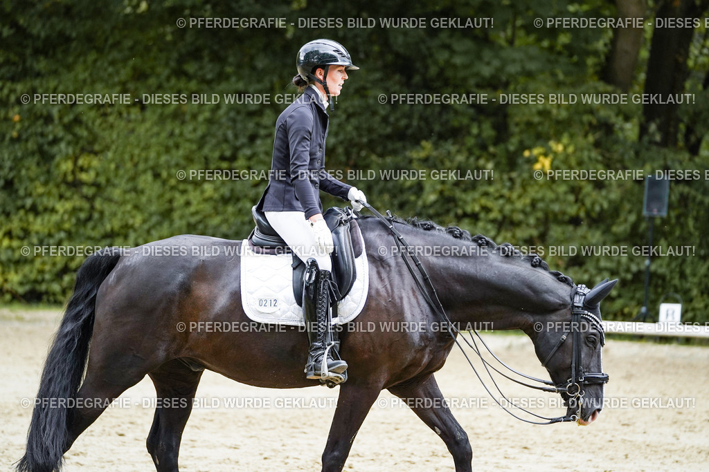 DSC06121 | Pferdegrafie