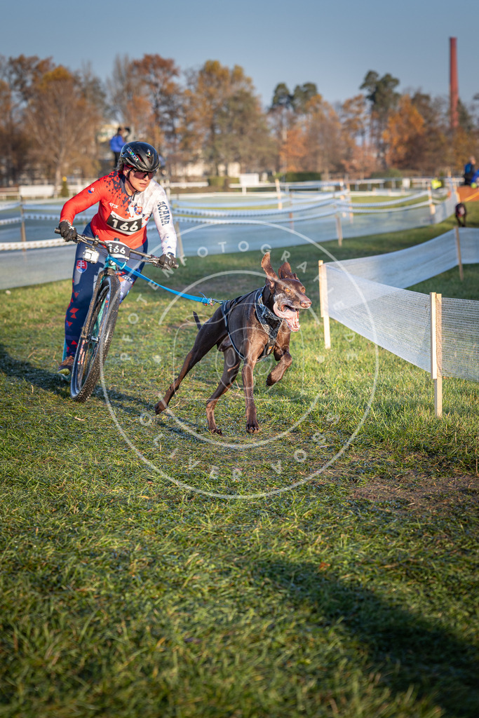 CaniXpix_0L8A3516 | Hundefotografie, Tierfotograf, Pfotenfotografie, Fotoshooting Hund, Hunde Portrait, Hundesport, Hundeportraits, Heideshooting, Hunde, Sportfotograf, Hundefotograf, Turnierhundsport, THS,  - Realisiert mit Pictrs.com