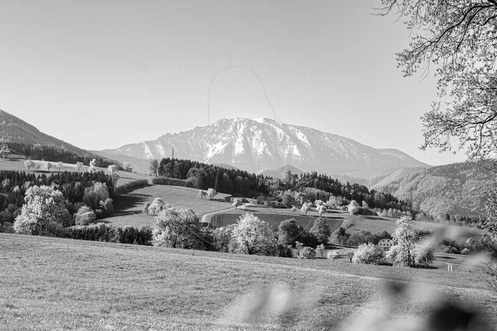 Ötscher Schwarz Weiß | Ihre Fotografin im Lungau, ihre Fotografin im Mostviertel, Wandbilder Onlineshop, Imagefotos für Ihr Unternehmen,  - Realisiert mit Pictrs.com