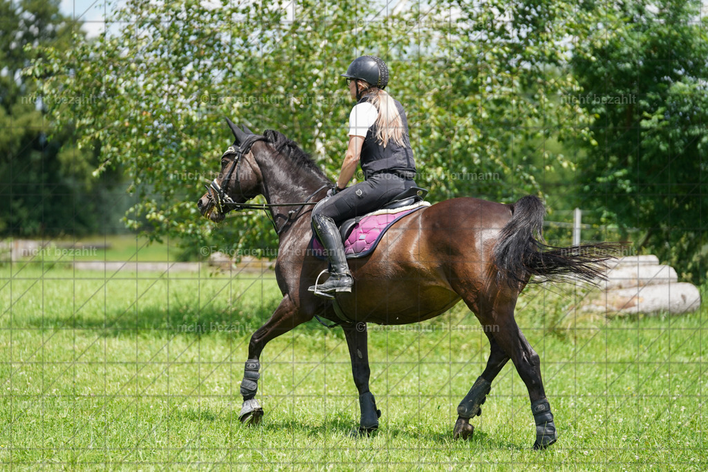 20240622-FAH07241 | Turnierfotografen Bayern, Reitsportbilder aus dem Geländekurs mit Felix Etzel auf dem Gut Waitzacker 2024