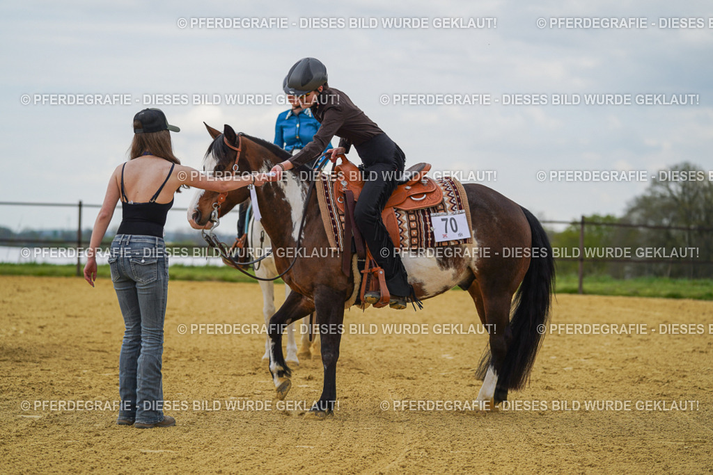 DSC06746 | Pferdegrafie