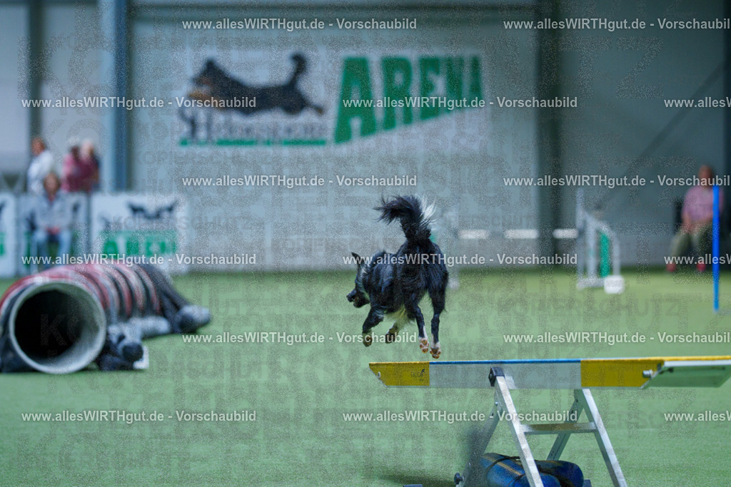 @allesWIRTHgut_Tierfotografie - www.allesWIRTHgut.de - 2604251431-7R504883 | Professionelle Tierfotografie in Mönchengladbach von Daniel Wirth (allesWIRTHgut). Liebevolle & natürliche Bilder von Hunden & Katzen für unvergessliche Erinnerungen.
