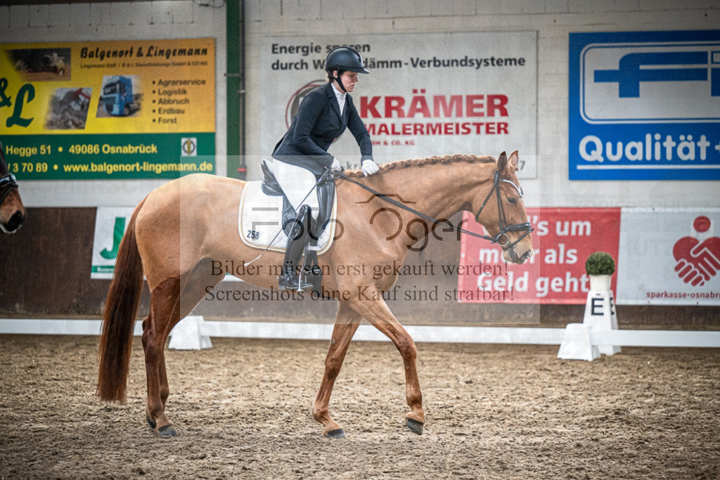 DOS_0223 | Entdecke hochwertige Reitturnierfotos von Foto Oger. Professionell, emotional und authentisch – jetzt Lieblingsmomente im Shop bestellen.Deutschlandweite Turnierfotografie. - Realisiert mit Pictrs.com