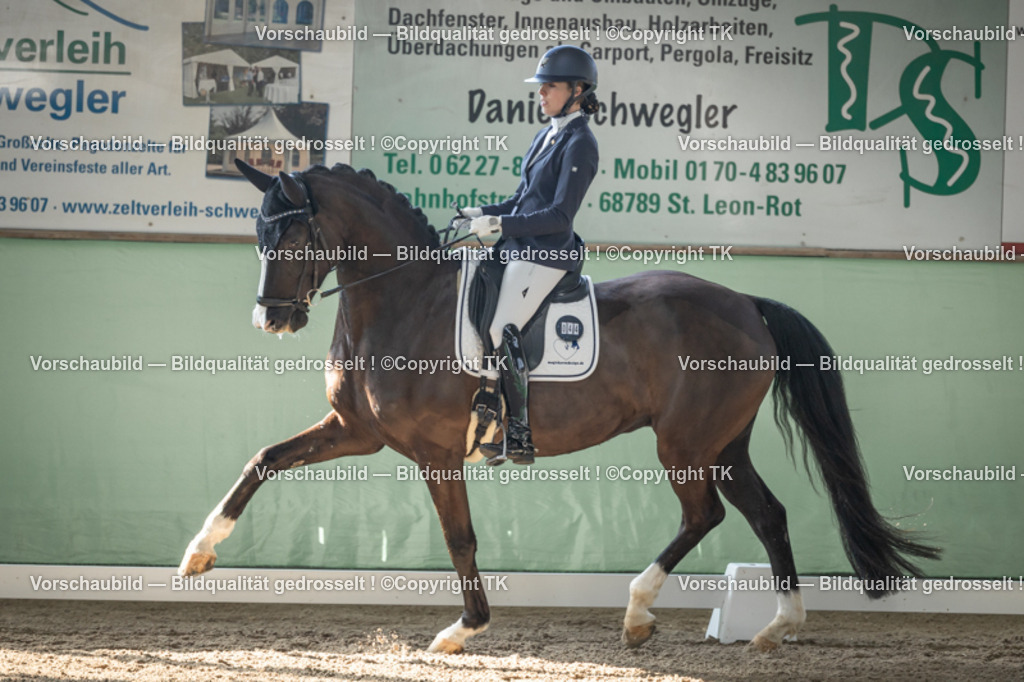 _D5A0641 | Emotionale Pferde- & People-Fotografie rund um Heidelberg, Leimen & Umgebung. Natürliche Fotos von Pferd, Mensch & Familie. Jetzt Termin sichern!