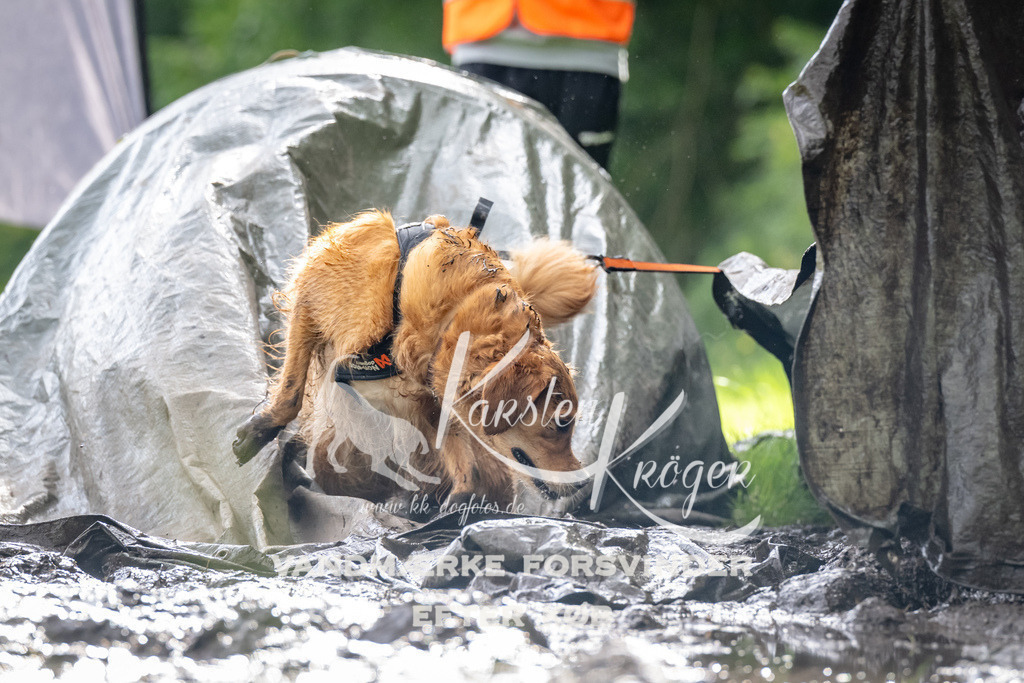 0918_ZZ90772 | kk-dogfotos