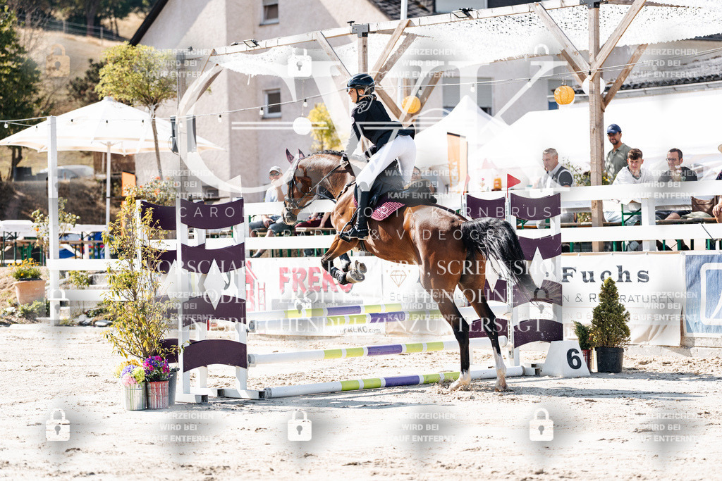 CK905057 | Turnierfotografie Pferdefotografie Trier Rheinland-Pfalz Pferdesport Reitsport Tierfotografie Sportfotografie Pferdevideo Pferdevideografie Equestrianvideography equestrianphotography  - Realisiert mit Pictrs.com