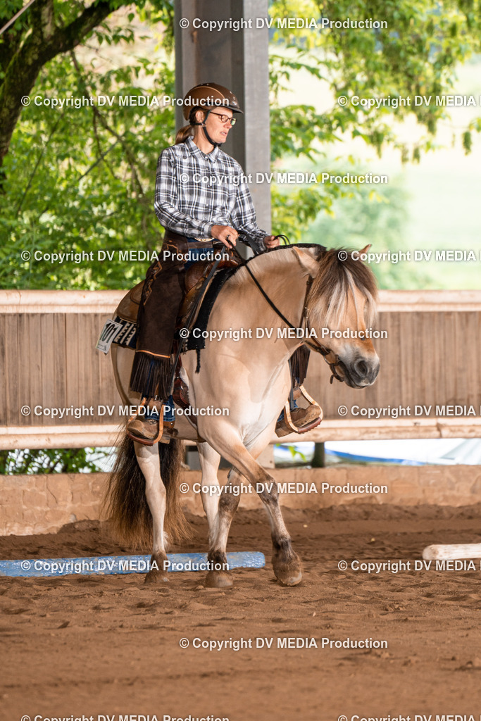 Erbach Tag 2-557 | dv-media-shop - Realisiert mit Pictrs.com