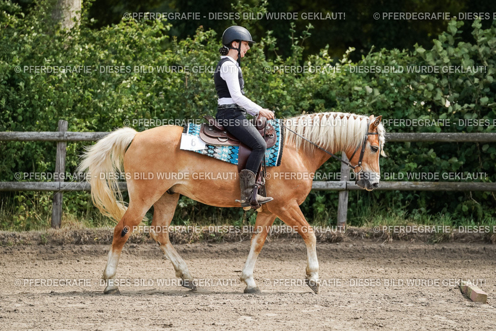 DSC07146 | Pferdegrafie