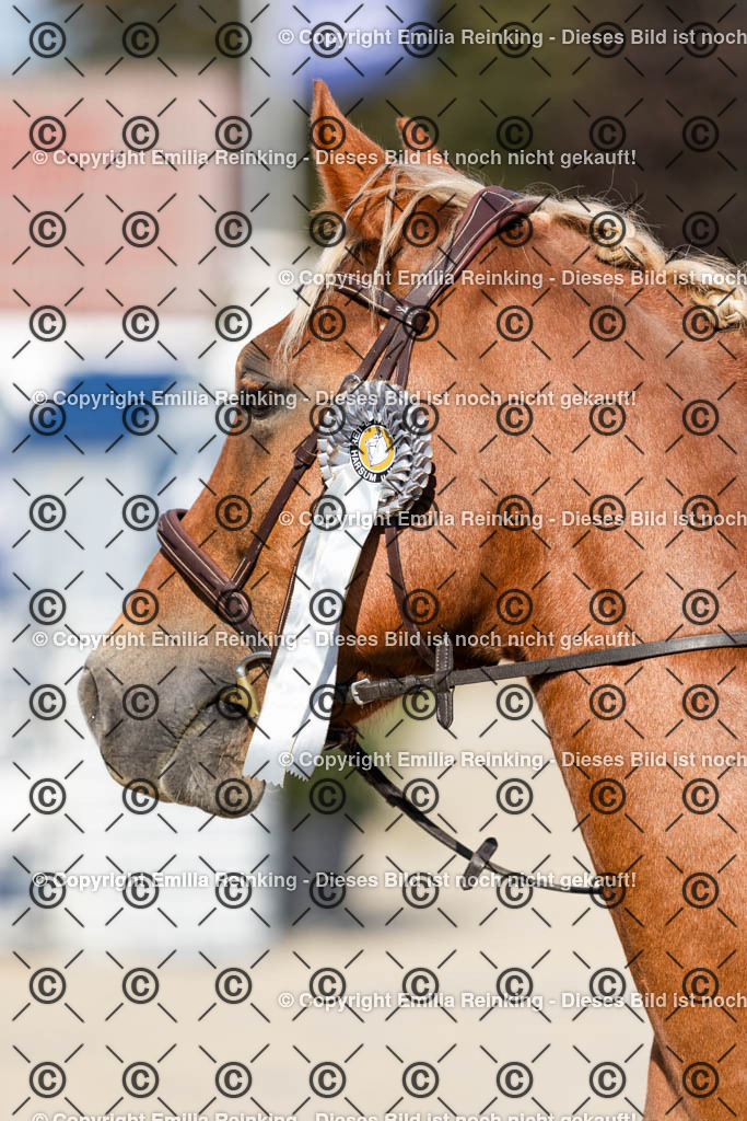 CL5A4221 | Emilia Reinking Fotografie - Realisiert mit Pictrs.com