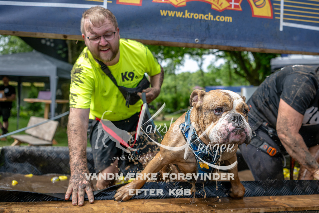1115_ZZ93496 | kk-dogfotos