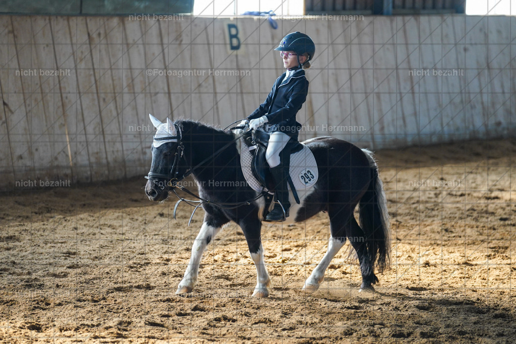 20230916-FAH08723 | Landsberg am Lech 2023, Turnierbildern, Turnierbilder Bayern, Reitsportfotograf, Pferdefotograf Bayern, Turnierfotos Landsberg, Fotoagentur Herrmann, Turnierfotografen Bayern