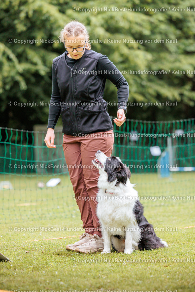 RO-Blumenthal-2026-Nickbest-Hundefotografie-2287 | Dein Hund! Dein Moment! Deine Erinnerungen! Hundefotografie in Bremen Blumenthal. Ich fange die besonderen Momente deines Vierbeiners ein – ob Indoor mit Blitzanlage oder in der freien Natur. Sicher dir dein Moment und dein Termin für eure Erinnerungen.