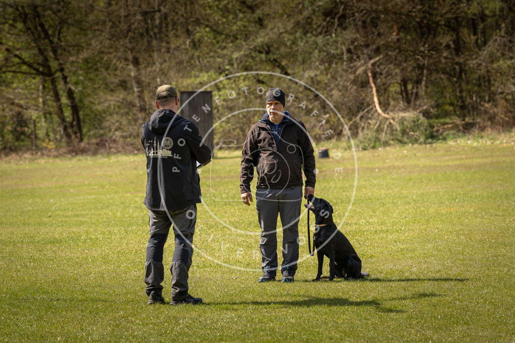 Pfotenfotografie_DV3A1284 | Hundefotografie, Tierfotograf, Pfotenfotografie, Fotoshooting Hund, Hunde Portrait, Hundesport, Hundeportraits, Heideshooting, Hunde, Sportfotograf, Hundefotograf, Turnierhundsport, THS,  - Realisiert mit Pictrs.com