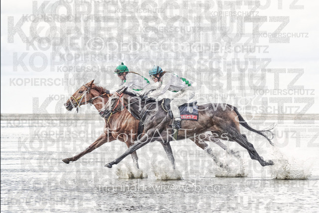 Duhner Wattrennen 22_MCH2469_Marina Hewig 1 | Fotografie, FotoArt, PferdesportArt, Pferdesportfotografie, Landschaftsfotografie, Reisefotografie, Reise, Pferde - Realisiert mit Pictrs.com