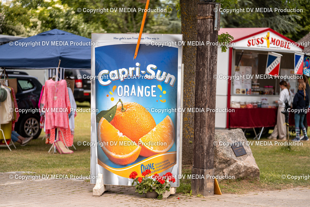 Eppelheim Tag 2-748 | dv-media-shop - Realisiert mit Pictrs.com