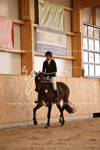 1J2A2708Hanna Nagel_ Rewell 2_ Kn441_ Hohen Wieschendorf_ Glantz | Foto- und Videografie für alles rund ums Pferd. Hochwertige Bilder und Videos vom Spring- und Dressurreiten, Voltigieren & mehr. Jetzt aktuelle Veranstaltungen und Preise im Shop ansehen. - Realisiert mit Pictrs.com