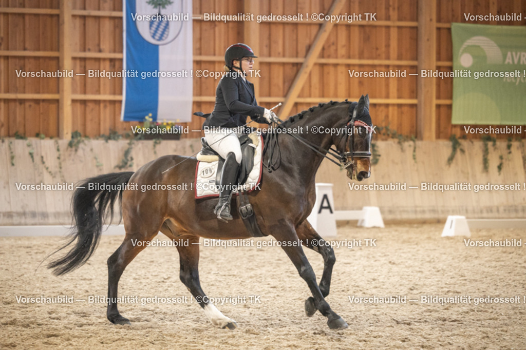 _D5A6704 | Emotionale Pferde- & People-Fotografie rund um Heidelberg, Leimen & Umgebung. Natürliche Fotos von Pferd, Mensch & Familie. Jetzt Termin sichern!