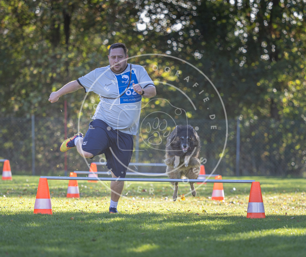 Pfotenfotografie.de_DV3A3173 | Hundefotografie, Tierfotograf, Pfotenfotografie, Fotoshooting Hund, Hunde Portrait, Hundesport, Hundeportraits, Heideshooting, Hunde, Sportfotograf, Hundefotograf, Turnierhundsport, THS, canicross - Realisiert mit Pictrs.com