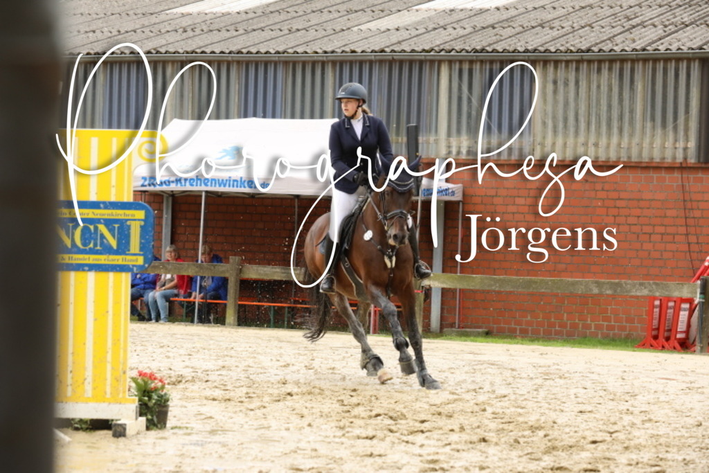 IMG_2248 | photographesa-joergens - Realisiert mit Pictrs.com