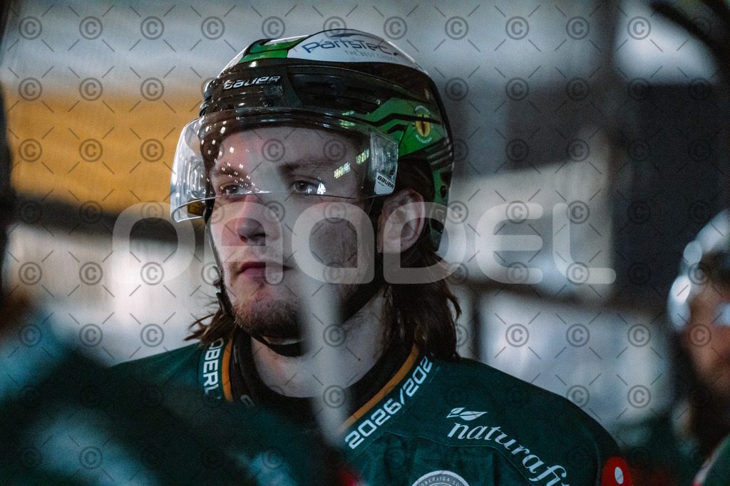 Alligators_vs_Erfurt_06_09_2026-07 | Die Fotogalerie von Daddel: professionelle Bilder von Sport, Events und Unternehmen aus Franken. Jetzt Galerien durchstöbern und Lieblingsfotos bestellen. - Realisiert mit Pictrs.com