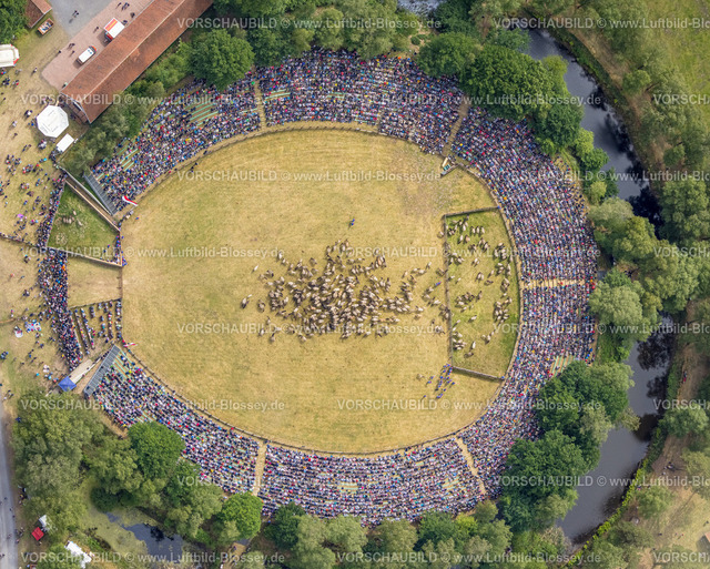 Duelmen220505196MerfelderBruchPferde-2 | Luftbild, Wildpferdefang im Merfelder Bruch bei Dülmen, Arena der Wildpferdebahn, Herzöge von Croÿ Anwesen, Pferdeherde,  Merfeld, Dülmen, Münsterland, Nordrhein-Westfalen, Deutschland