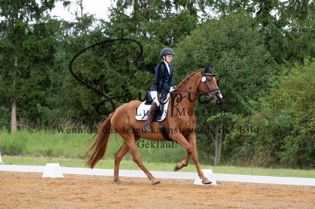 A7V03789 | Turnier/Reitfotograf