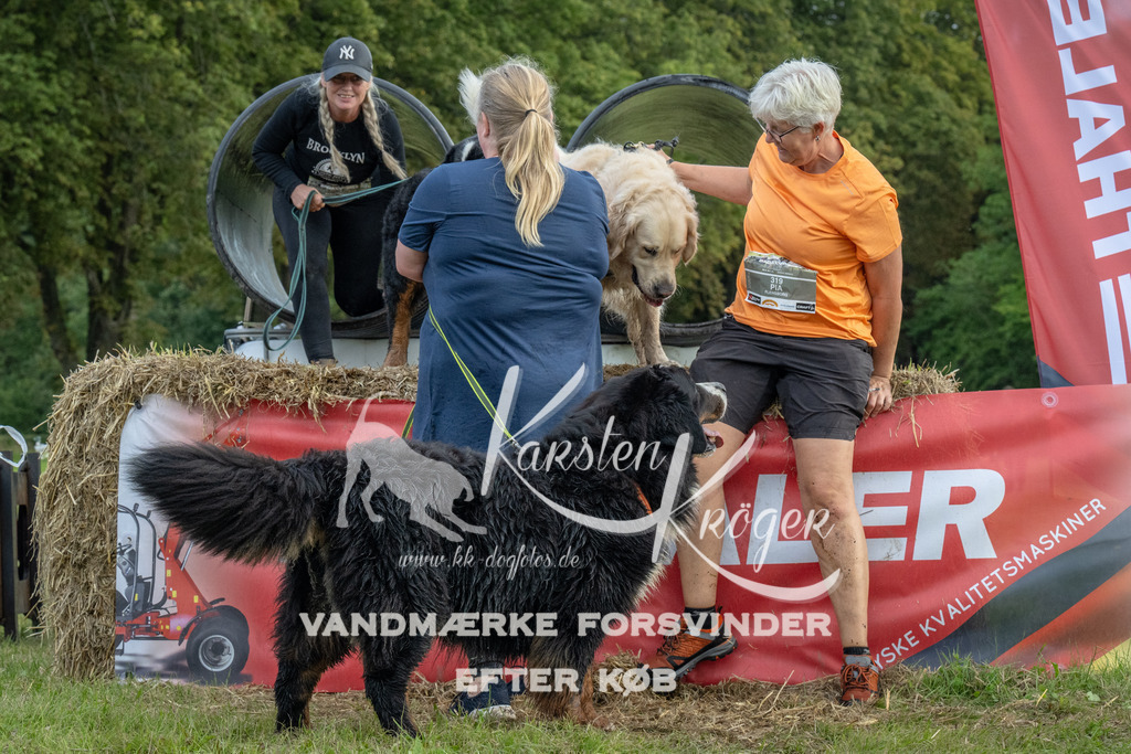 1100_ZZ93631 | kk-dogfotos