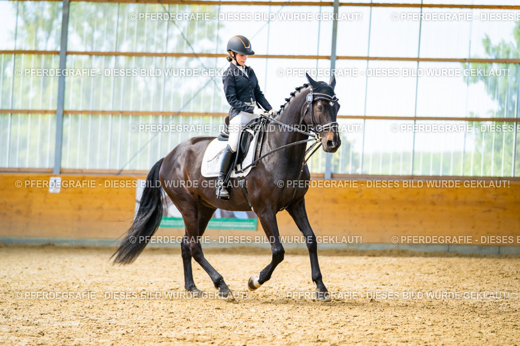 DSC09460 | Pferdegrafie