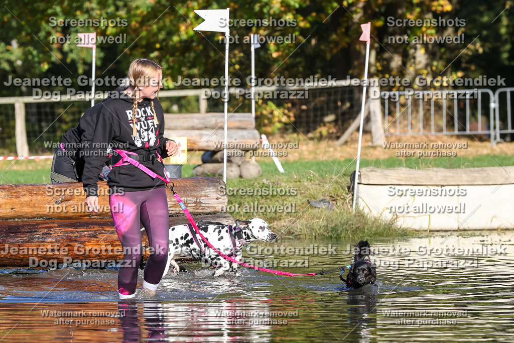 Dog Paparazzi - Strongdog 10-25-8759 | Dog Paparazzi Jeanette Grottendiek Fotografie & Videografie - Realisiert mit Pictrs.com