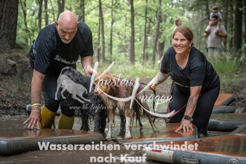 1212_ZZ97751T | kk-dogfotos