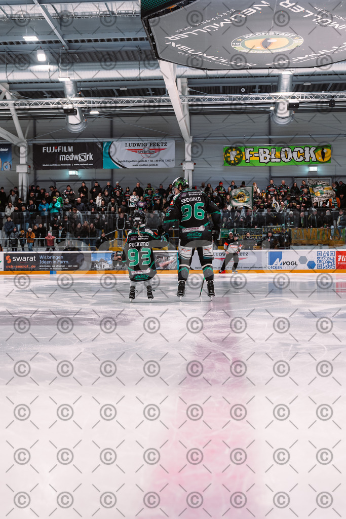 Alligators_vs_Toelz_18_11_2025-22 | Höchstadt Alligators Fotogalerie: Eishockey-Action aus Franken. Professionelle Spielfotos, Portraits & Stadionbilder zum Download. Jetzt entdecken! - Realisiert mit Pictrs.com