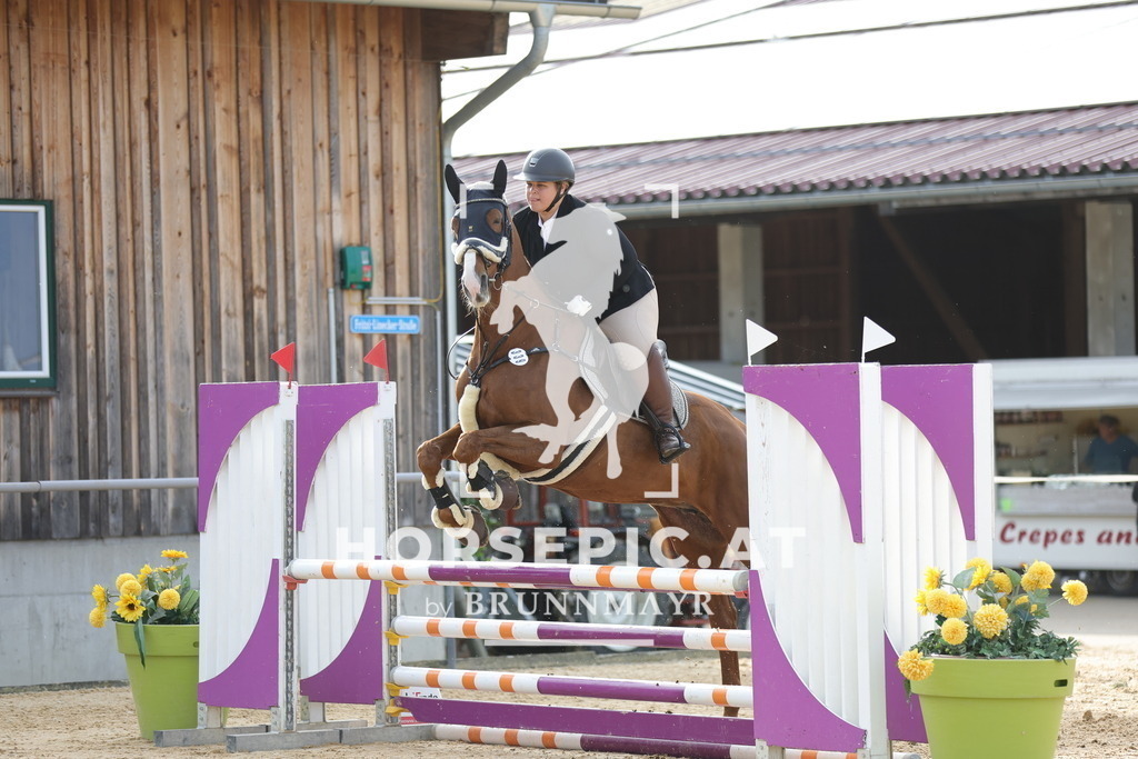 0P6A9704 | Willkommen bei Brunnmayr - Design & Fotografie – Ihrem Spezialisten für Reitturniere und Pferdeveranstaltungen in Oberösterreich, Salzburg und Bayern! Seit über 17 Jahren sind wir leidenschaftlich dabei.