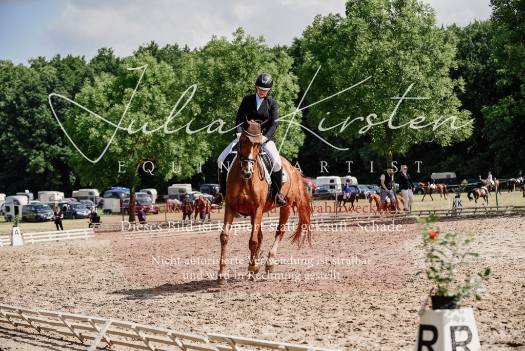 DSC_0317 | Pferde- und Turnierfotografie in Westsachsen. Pferdeportraits, Auftragszeichnungen und intuitive Kunst.