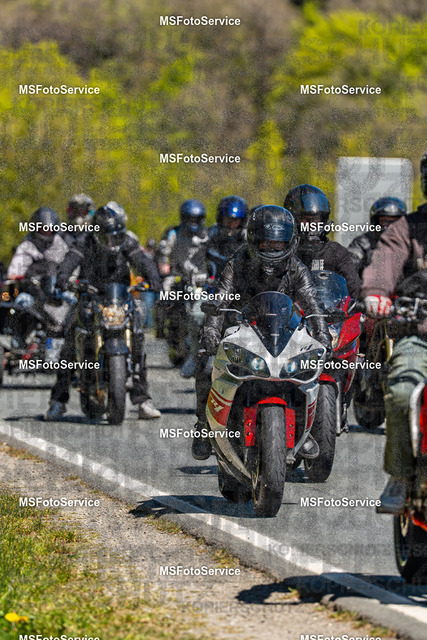 MSFotoServiceXXX433 | MSFotoService - Realisiert mit Pictrs.com