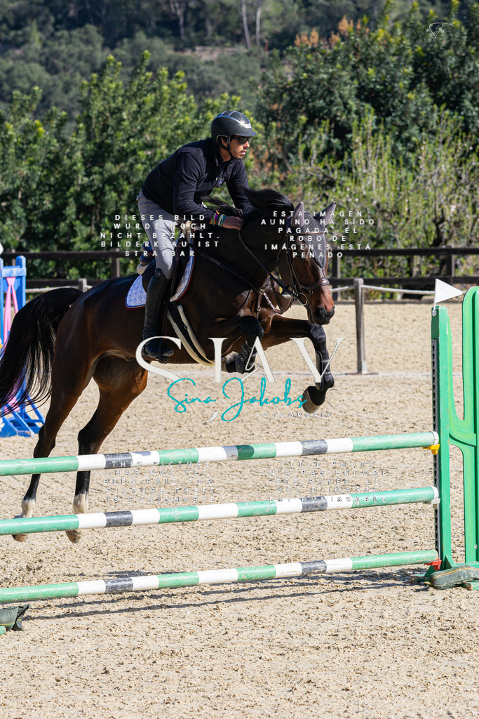 IMG_5240 | s-jay-photography - Realisiert mit Pictrs.com