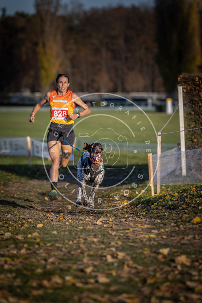 CaniXpix_DV3A3382 | Hundefotografie, Tierfotograf, Pfotenfotografie, Fotoshooting Hund, Hunde Portrait, Hundesport, Hundeportraits, Heideshooting, Hunde, Sportfotograf, Hundefotograf, Turnierhundsport, THS,  - Realisiert mit Pictrs.com